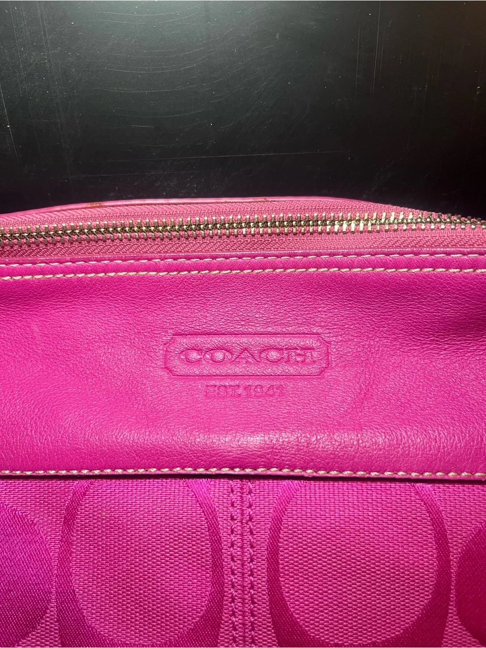 Y2K Coach Laura Signature Hobo / Crescent Bag 2010